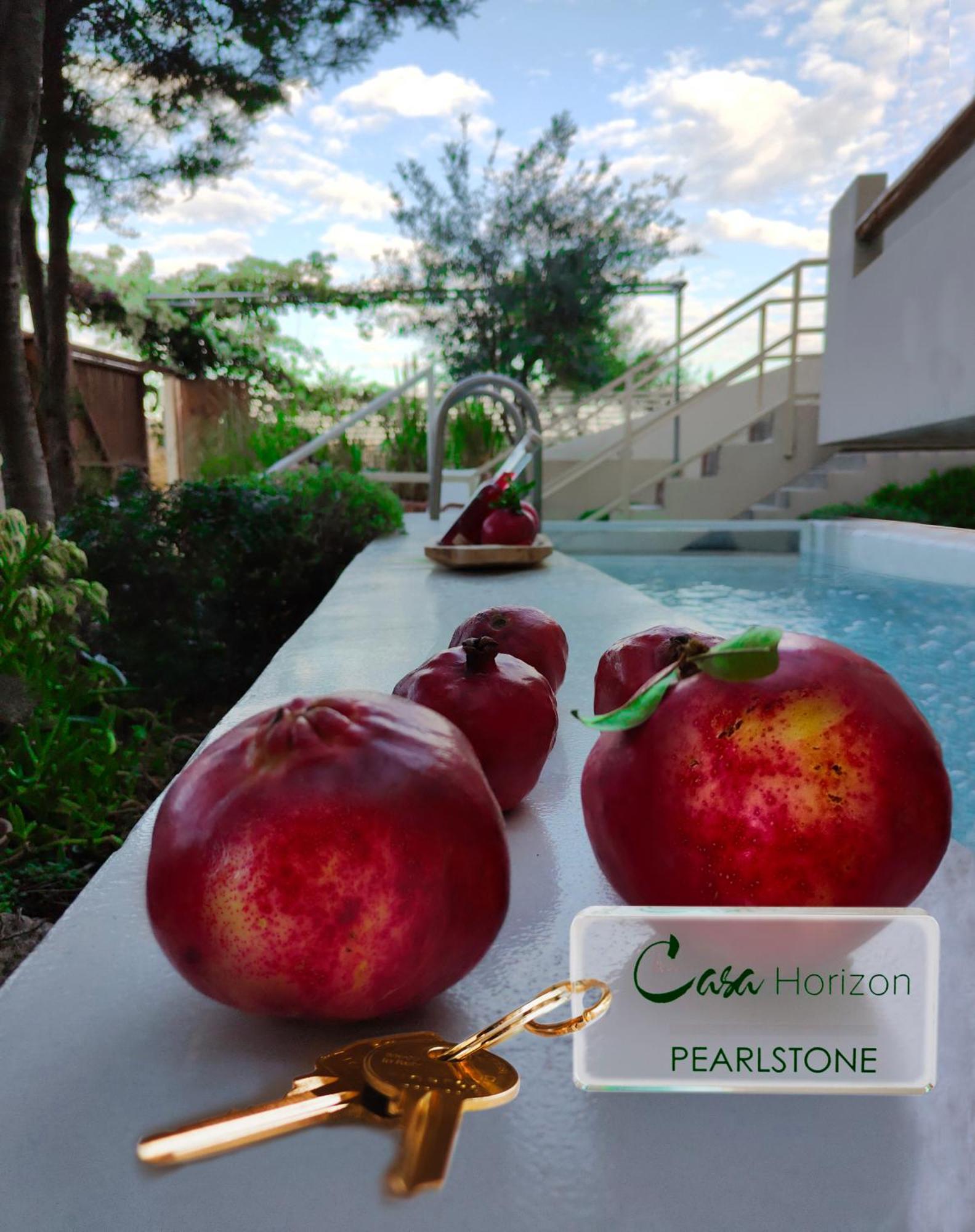 فيلا Casa Horizon بورتو خيلي المظهر الخارجي الصورة